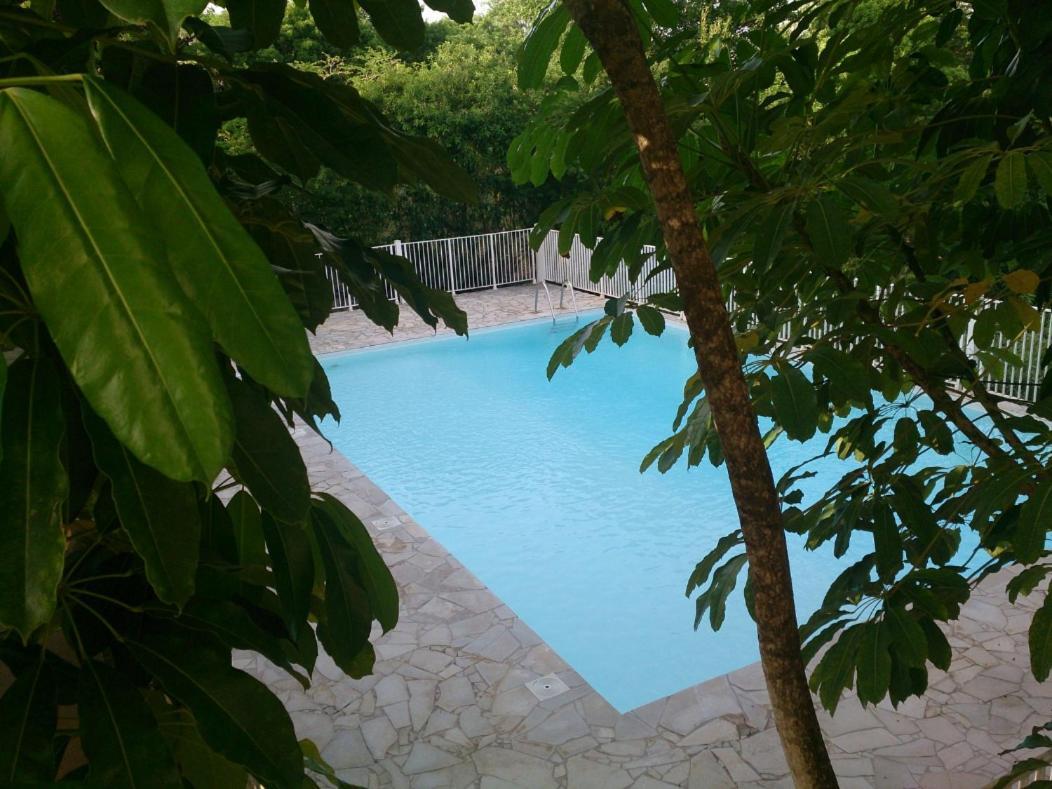 Kazadidou - Residence Grand Cap - Vue Mer Et Montagne - Piscine 르 고지에 외부 사진